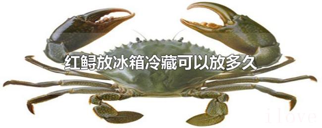 红鲟放冰箱冷藏可以放多久