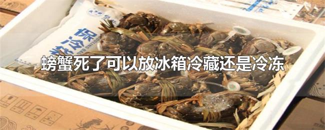 螃蟹死了可以放冰箱冷藏还是冷冻 螃蟹死了可以放冰箱冷藏还是冷冻