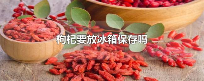 枸杞要放冰箱保存吗 枸杞要放冰箱保存吗