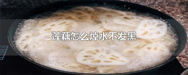 莲藕怎么焯水不发黑 莲藕怎么焯水不发黑