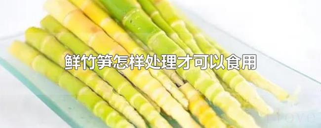 鲜竹笋怎样处理才可以食用