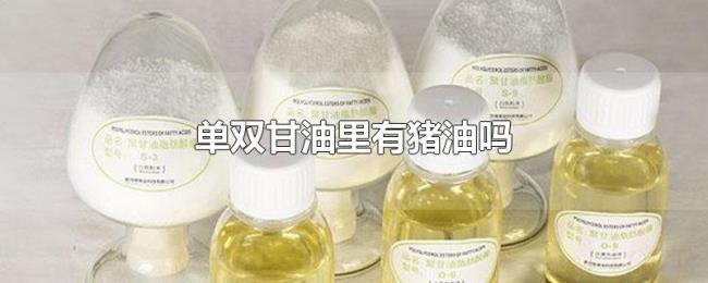 单双甘油里有猪油吗