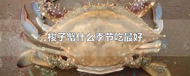 梭子蟹什么季节吃最好