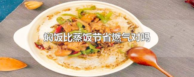 焖饭比蒸饭节省燃气对吗