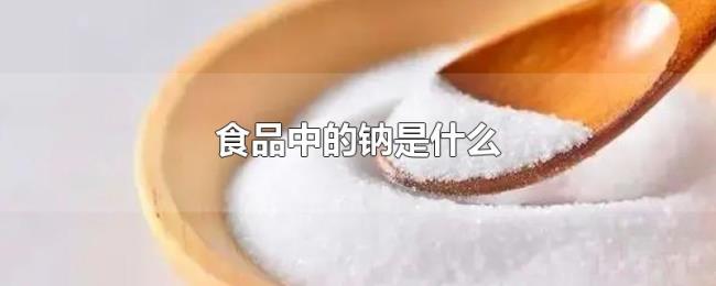 食品中的钠是什么 食品中的钠是什么