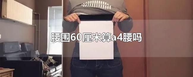 腰围60厘米算a4腰吗 腰围60厘米算a4腰吗