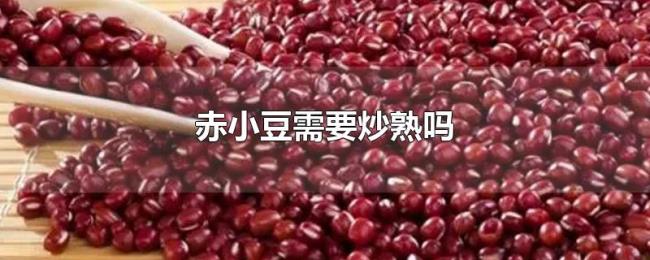 赤小豆需要炒熟吗