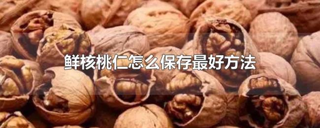 鲜核桃仁怎么保存最好方法 鲜核桃仁怎么保存最好方法