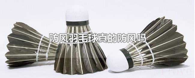 防风羽毛球真的防风吗 防风羽毛球真的防风吗
