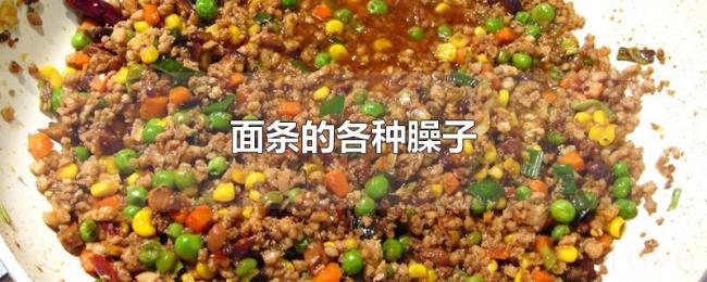 面条的各种臊子 面条的各种臊子