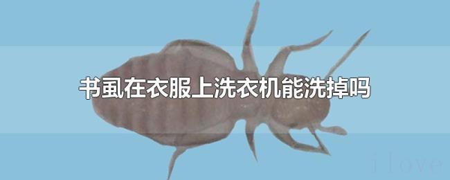书虱在衣服上洗衣机能洗掉吗