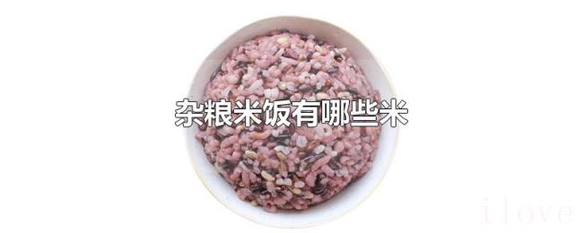 杂粮米饭有哪些米