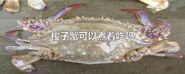梭子蟹可以煮着吃吗
