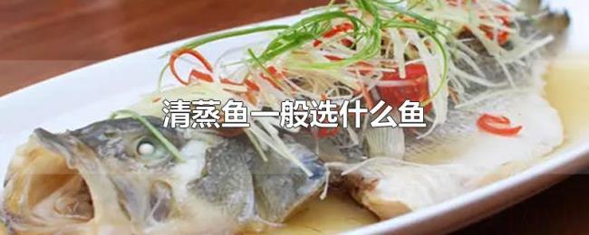 清蒸鱼一般选什么鱼