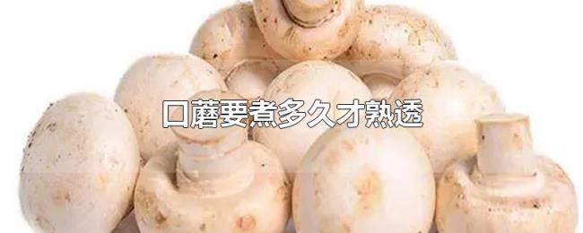 口蘑要煮多久才熟透