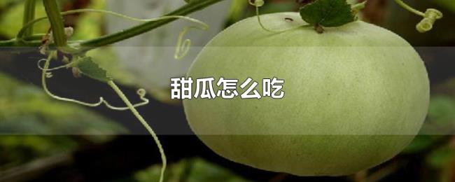 甜瓜怎么吃 甜瓜怎么吃