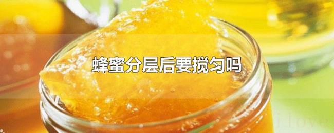 蜂蜜分层后要搅匀吗 蜂蜜分层后要搅匀吗