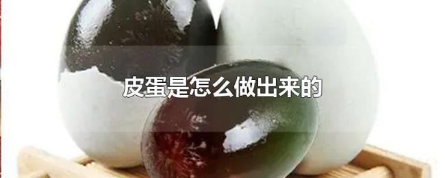 皮蛋是怎么做出来的 皮蛋是怎么做出来的