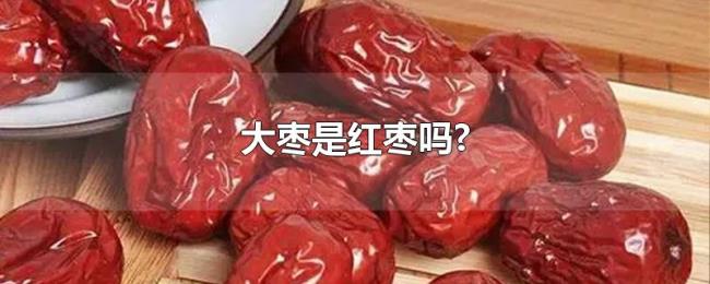 大枣是红枣吗? 大枣是红枣吗?