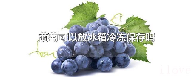 葡萄可以放冰箱冷冻保存吗 葡萄可以放冰箱冷冻保存吗