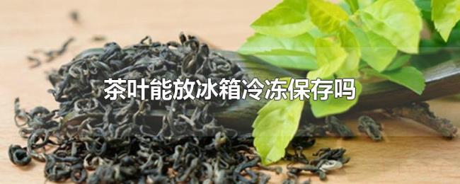 茶叶能放冰箱冷冻保存吗 茶叶能放冰箱冷冻保存吗