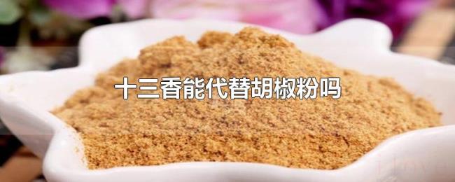 十三香能代替胡椒粉吗 十三香能代替胡椒粉吗
