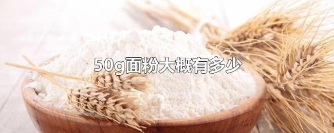 50g面粉大概有多少 50g面粉大概有多少