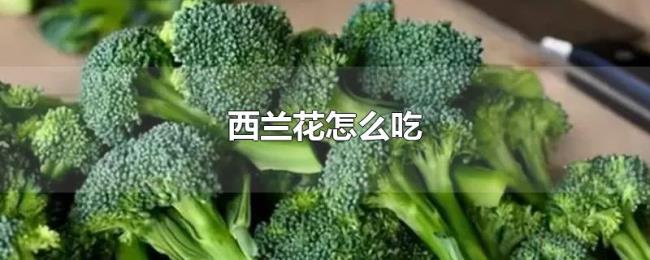 西兰花怎么吃