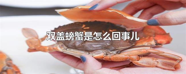 双盖螃蟹是怎么回事儿 双盖螃蟹是怎么回事儿