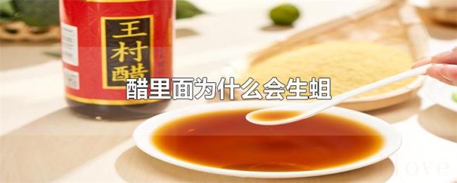 醋里面为什么会生蛆 醋里面为什么会生蛆