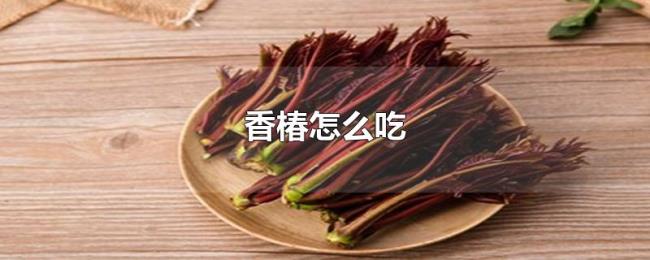 香椿怎么吃 香椿怎么吃