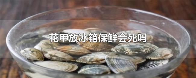花甲放冰箱保鲜会死吗 花甲放冰箱保鲜会死吗