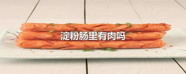 淀粉肠里有肉吗 淀粉肠里有肉吗