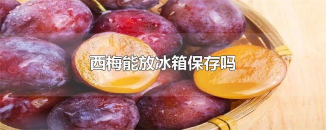 西梅能放冰箱保存吗 西梅能放冰箱保存吗