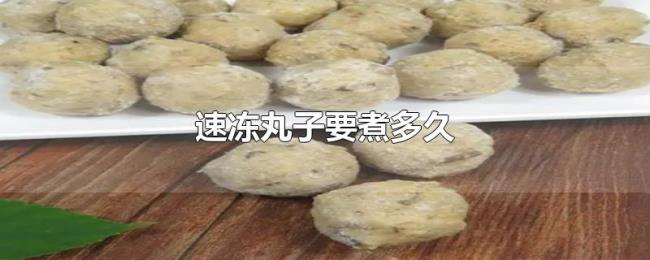 速冻丸子要煮多久 速冻丸子要煮多久