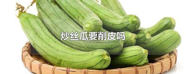炒丝瓜要削皮吗 炒丝瓜要削皮吗