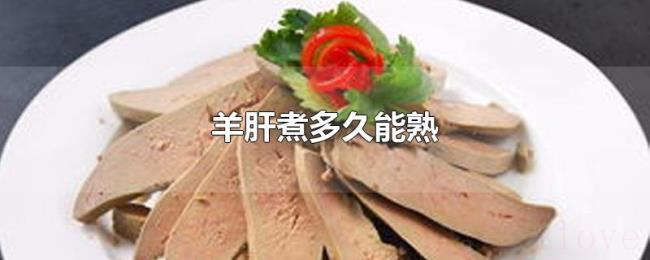 羊肝煮多久能熟 羊肝煮多久能熟