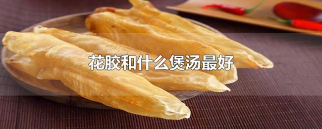 花胶和什么煲汤最好 花胶和什么煲汤最好
