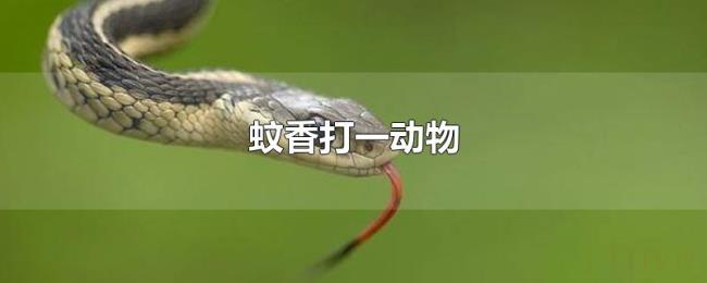 蚊香打一动物 蚊香打一动物