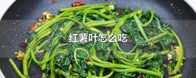 红薯叶怎么吃 红薯叶怎么吃