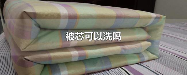 被芯可以洗吗 被芯可以洗吗