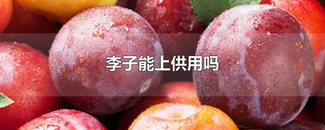 李子能上供用吗 李子能上供用吗