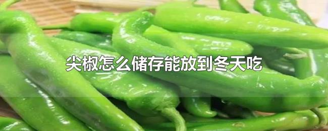 尖椒怎么储存能放到冬天吃 尖椒怎么储存能放到冬天吃