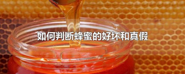 如何判断蜂蜜的好坏和真假 如何判断蜂蜜的好坏和真假