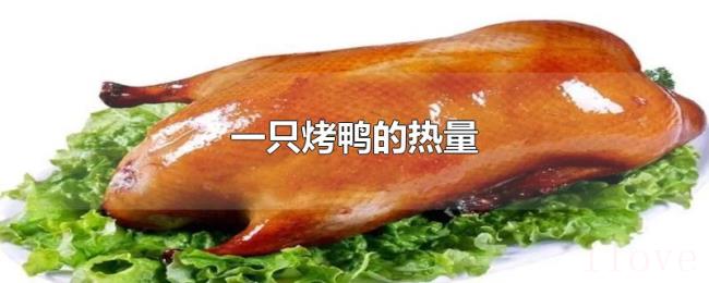 一只烤鸭的热量