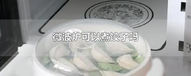 微波炉可以煮饺子吗 微波炉可以煮饺子吗
