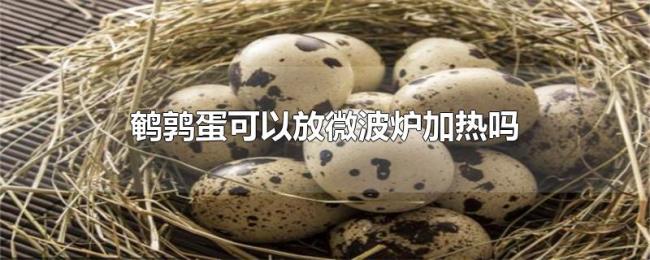 鹌鹑蛋可以放微波炉加热吗