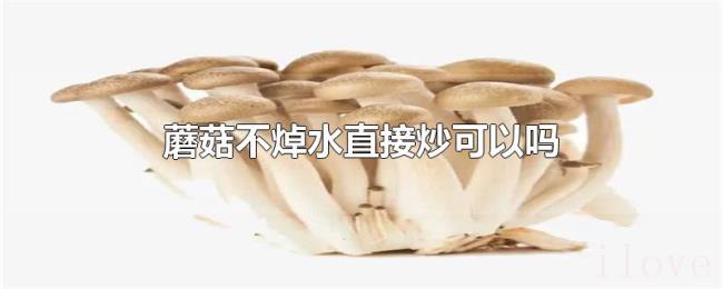 蘑菇不焯水直接炒可以吗