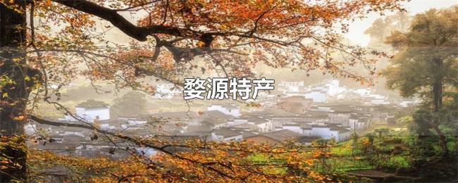 婺源特产