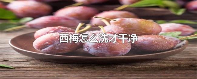 西梅怎么洗才干净